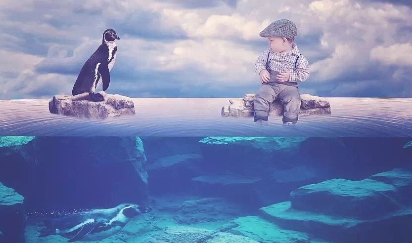 宝宝写真照风格种类大全,婴儿个性写真