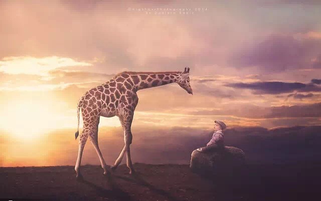 宝宝写真照风格种类大全,婴儿个性写真