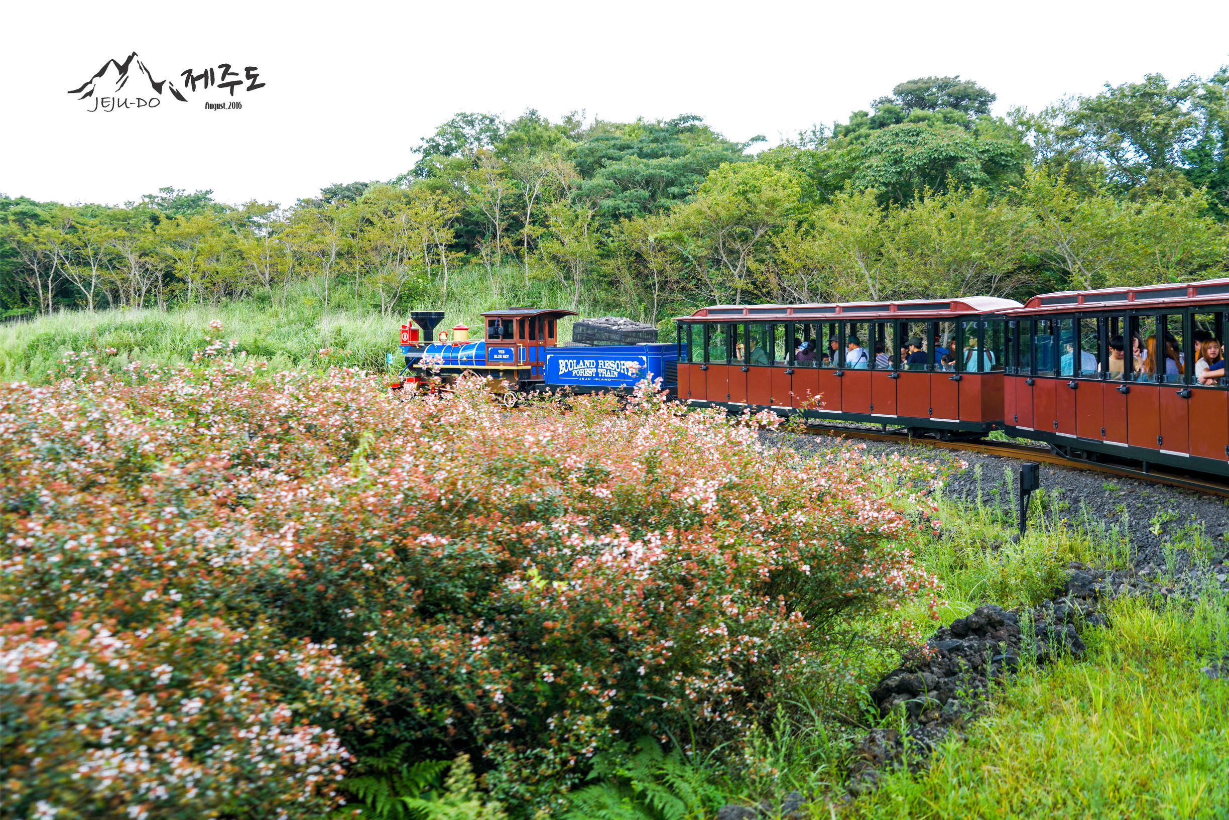 济州岛雨天旅行攻略视频,冬季济州岛亲子游详细攻略