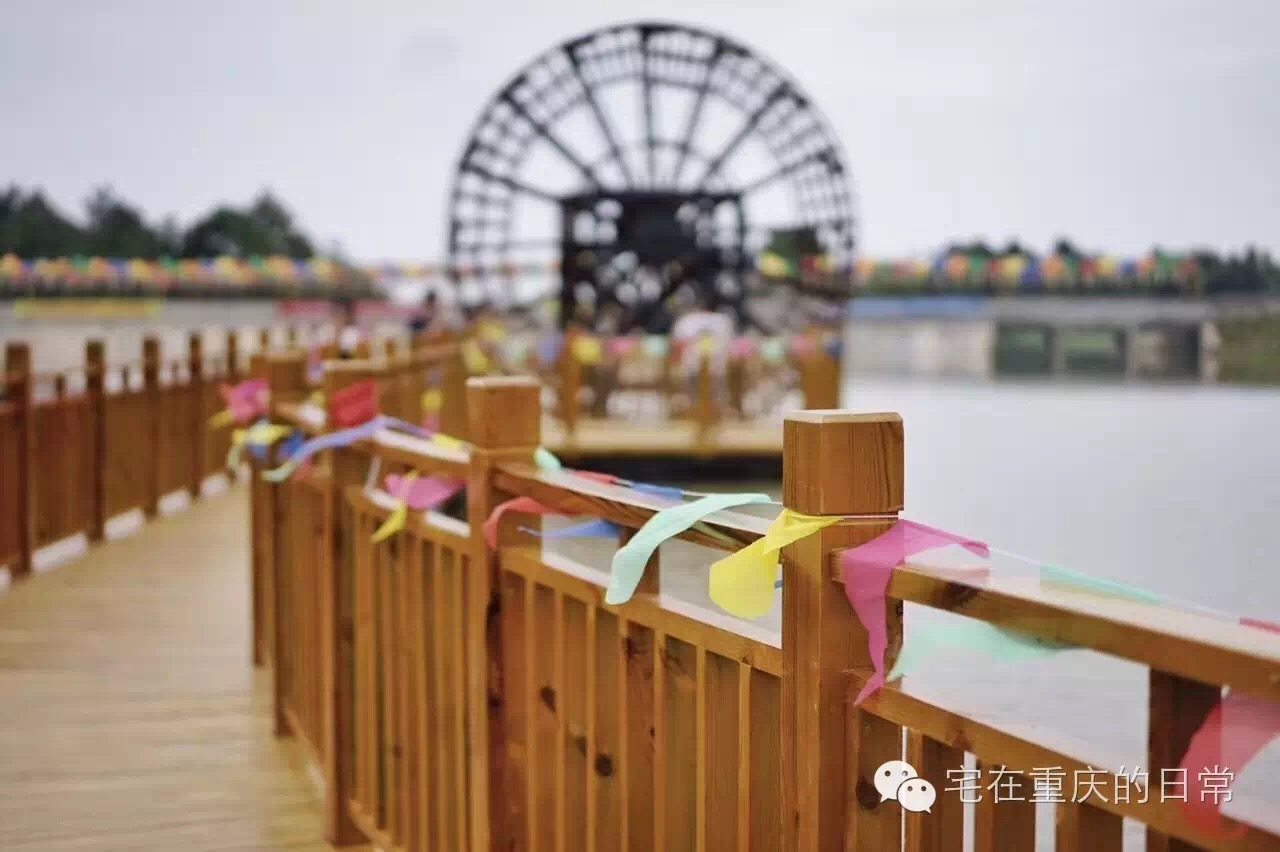 山谷飞来金凤凰,綦江横山凤凰谷怎么去