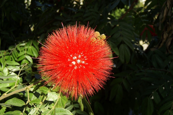 喉咙有异物吐不出来咽不下去又痒,喉咙有异物吐不出来咽不下去有血