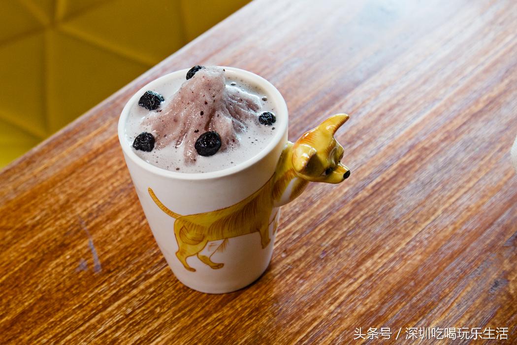 一千平室外宠物乐园,拥有数百只流浪猫的猫咪公园