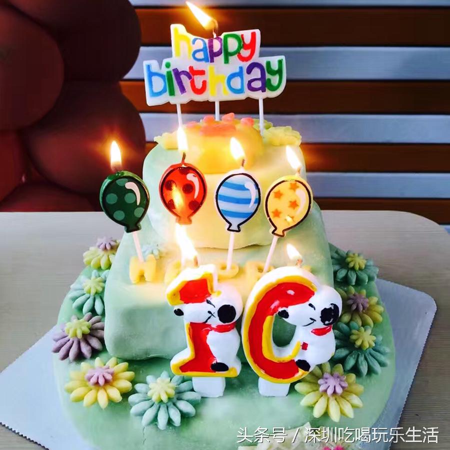 一千平室外宠物乐园,拥有数百只流浪猫的猫咪公园