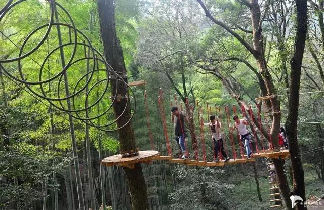 安徽秋天最适合旅游的地方,安徽适合暑假旅游的地方