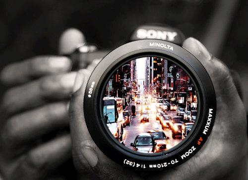 大连能成为国际知名城市吗,大连海鲜全国出名吗