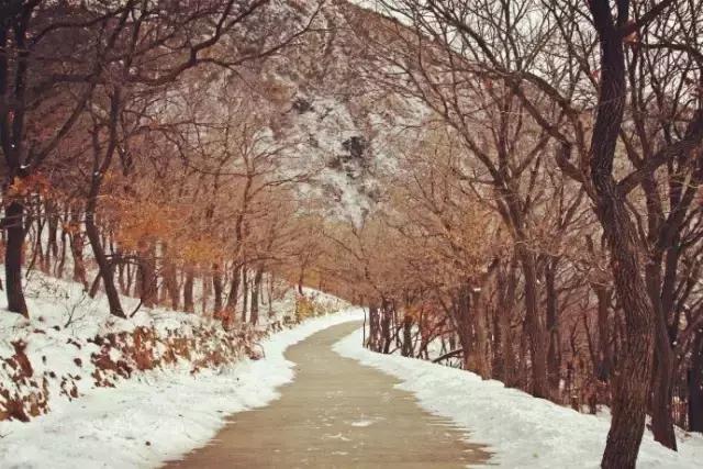 大连能成为国际知名城市吗,大连海鲜全国出名吗