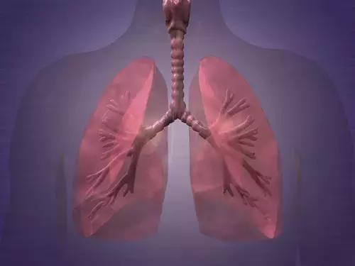 搬东西伤到肺部怎么办,搬东西肺破了