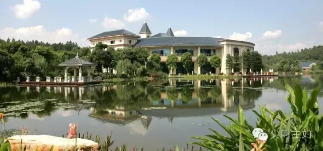 广州最好的温泉度假酒店,广州适合的休闲度假酒店