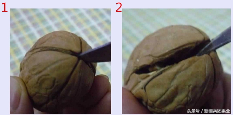 没打过底的核桃还有救吗,没打过基底的核桃