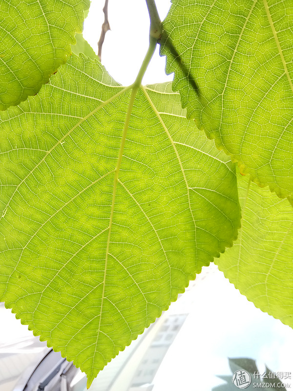 吐槽红米手表watch4,吐槽红米4手表表盘