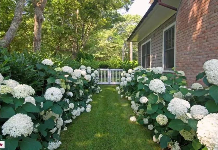 15个高颜值花园庭院设计,冬日无阳光的后花园庭院设计