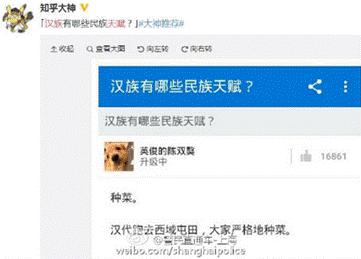 南苏丹维和故事：拯救“总指挥”“鸡毛信”营地捣乱的狒狒