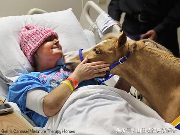 可爱迷你小马视频,超萌小马