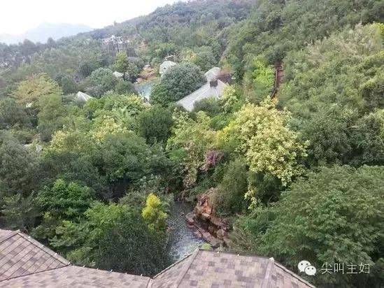 广州最好的温泉度假酒店,广州适合的休闲度假酒店