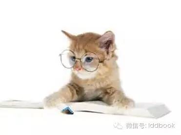 十一带娃怎么玩,假期在家陪孩子玩什么