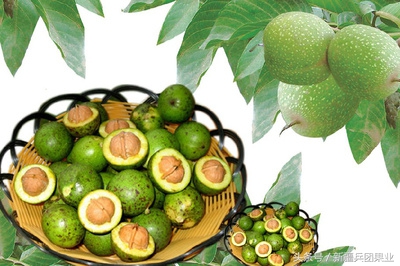 没打过底的核桃还有救吗,没打过基底的核桃