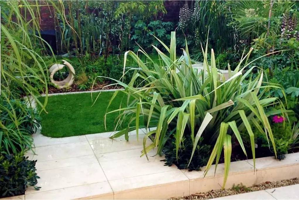 15个高颜值花园庭院设计,冬日无阳光的后花园庭院设计