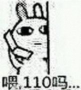 南苏丹维和故事：拯救“总指挥”“鸡毛信”营地捣乱的狒狒