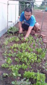 南苏丹维和故事：拯救“总指挥”“鸡毛信”营地捣乱的狒狒