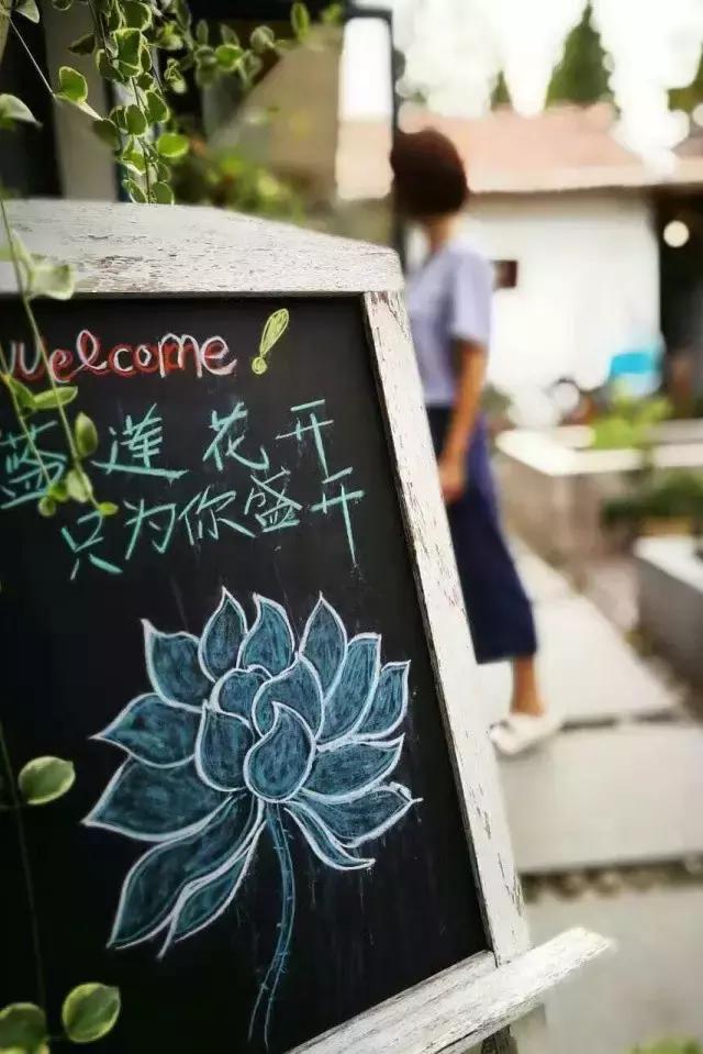 蓝莲花开，看跨界达人如何用心将每个瞬间做到永恒