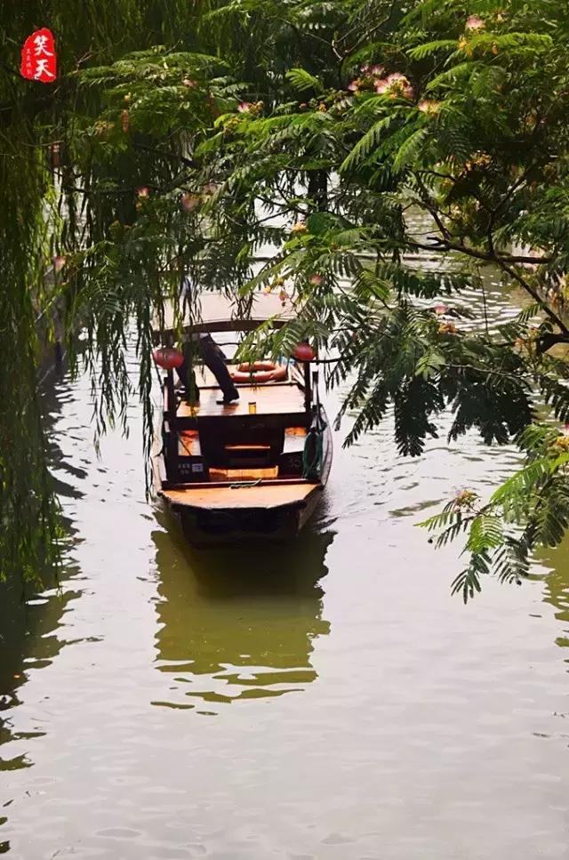 蓝莲花开，看跨界达人如何用心将每个瞬间做到永恒