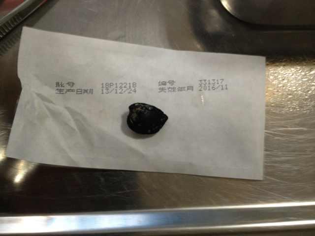 泰迪狗经常呕吐是胃癌吗,小泰迪狗为什么呕吐而且还拉血了