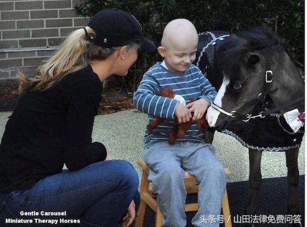 可爱迷你小马视频,超萌小马