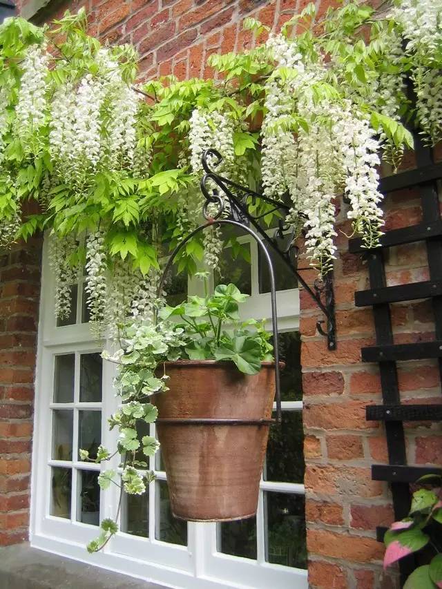 15个高颜值花园庭院设计,冬日无阳光的后花园庭院设计