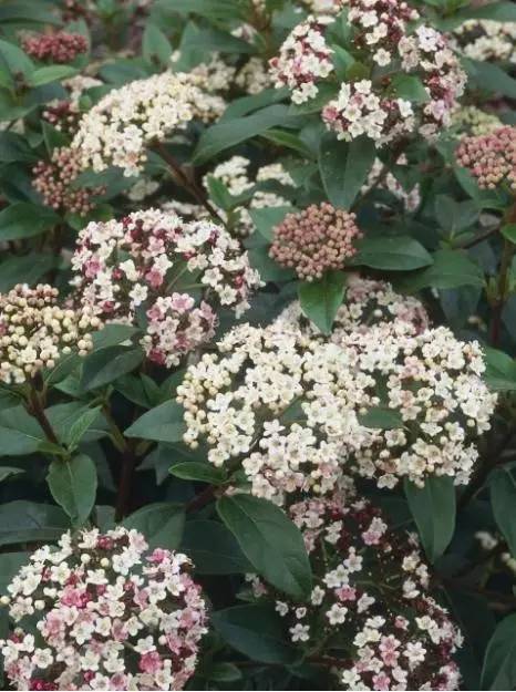 15个高颜值花园庭院设计,冬日无阳光的后花园庭院设计