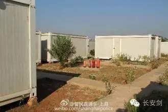 南苏丹维和故事：拯救“总指挥”“鸡毛信”营地捣乱的狒狒