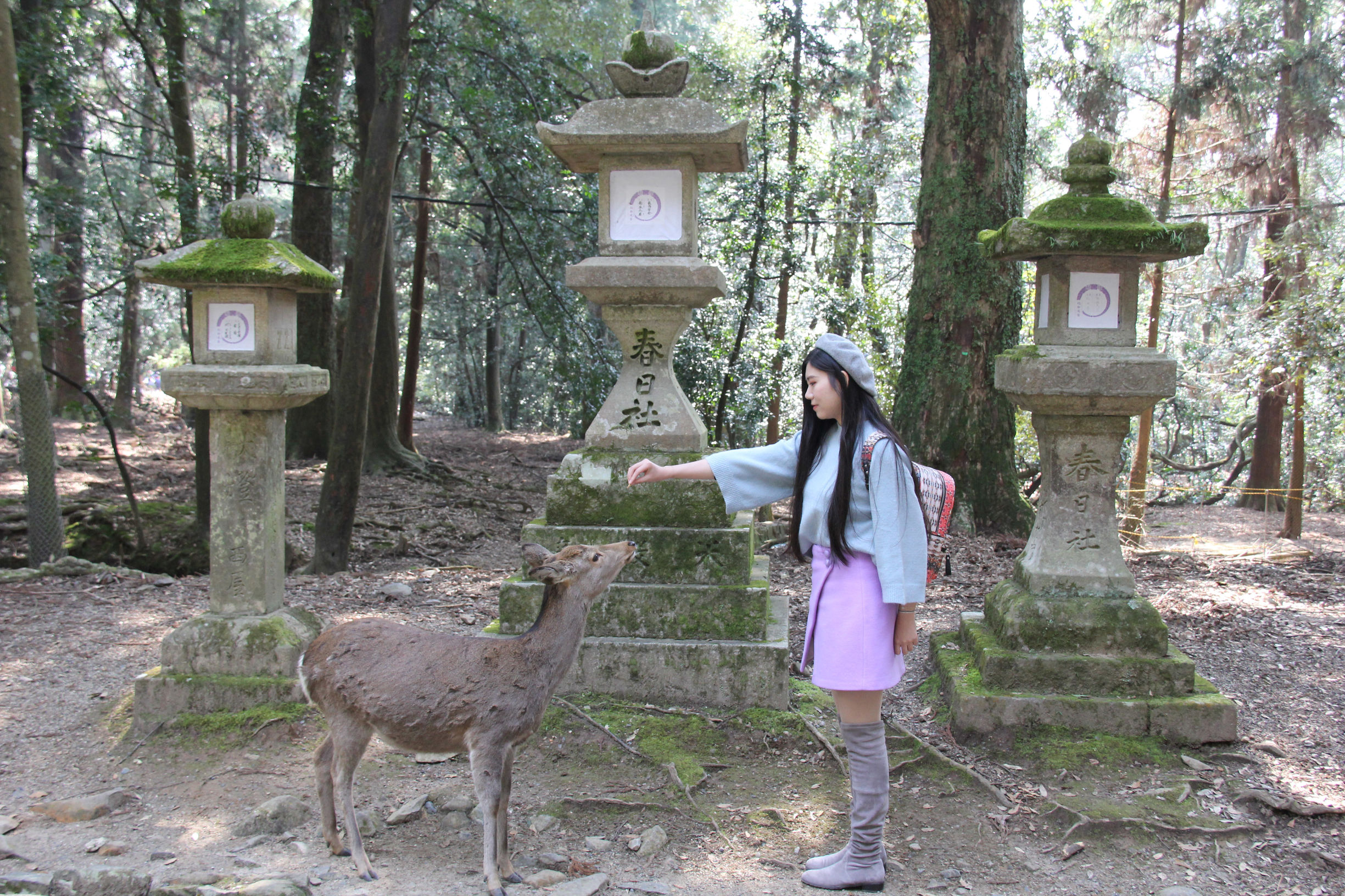 拍照技巧和p图教程,夜晚拍照p图技巧