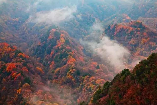 如果你来广元，我才不带你去剑门关嘞！