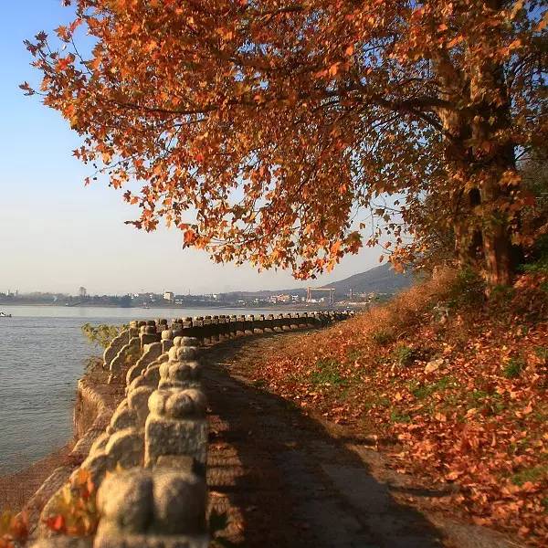 武汉十大漂亮女神,武汉最漂亮的十个女人