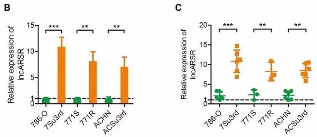 文献数据分析图表详细教程,医学数据如何整理分析