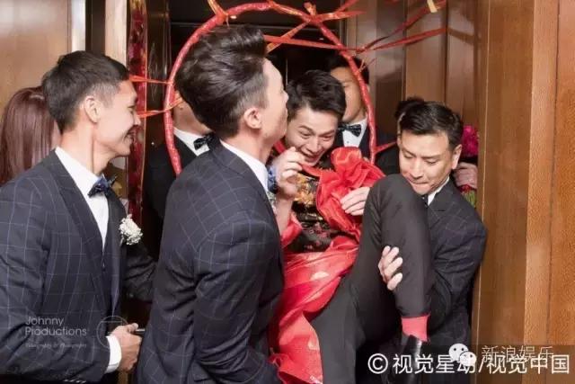 马浚伟杨怡金猪,杨怡金猪