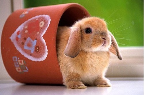 瞬间笑喷的爆囧奇葩，男人这种生物到底有没有情商啊！