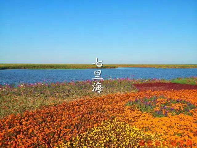 十一回老家不回家,十一回家看看回不去的老家