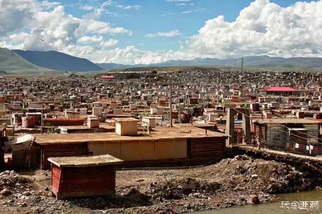 亚青寺，孤寂中盛放的莲花