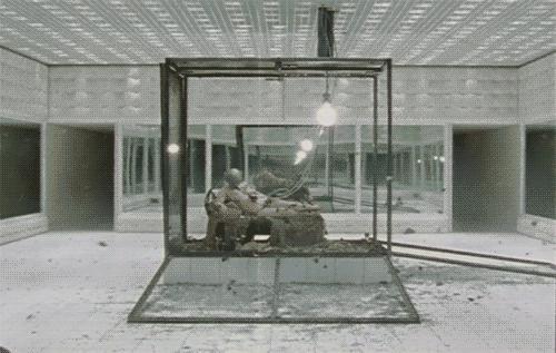 时装周盛世美颜观众,mcqueen24年秋冬走秀解析