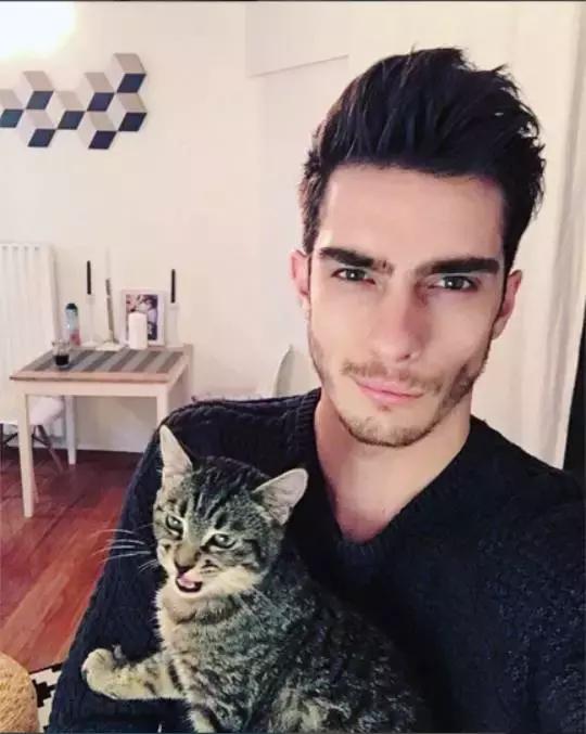 听说养猫的人很有福气吗,听说养猫的男生更容易脱单