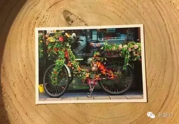 种草｜荷兰秋日伴手礼清单