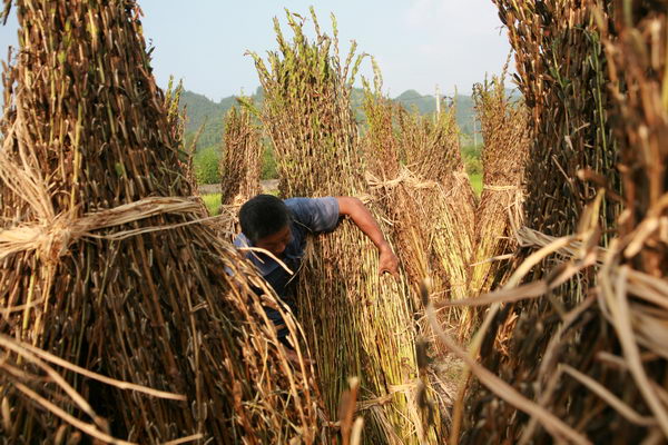 农民为啥不花钱,农民为什么不挣钱