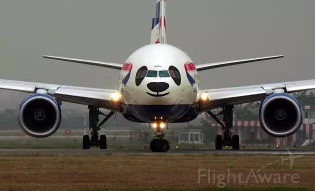 最酷的飞机涂装,各种各样的飞机涂装