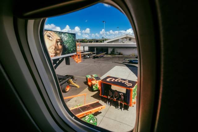 最酷的飞机涂装,各种各样的飞机涂装