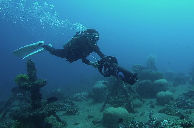 菲律宾潜水攻略 (菲律宾潜水游记)