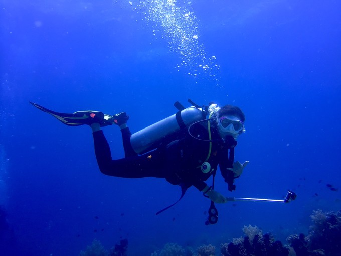 菲律宾潜水攻略 (菲律宾潜水游记)