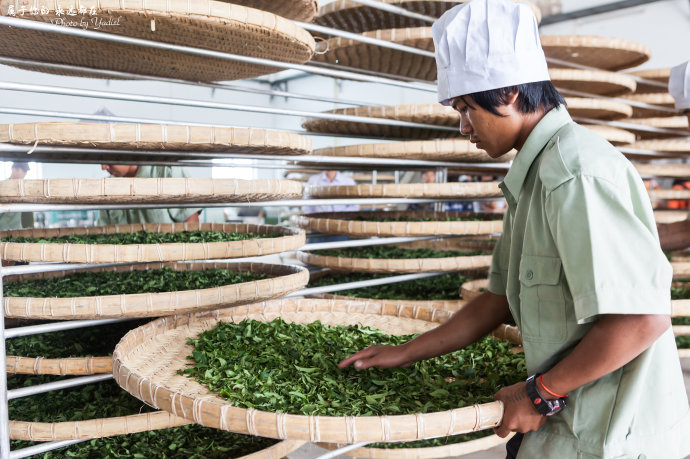 带着老婆去山上旅游,秘境之地在临沧