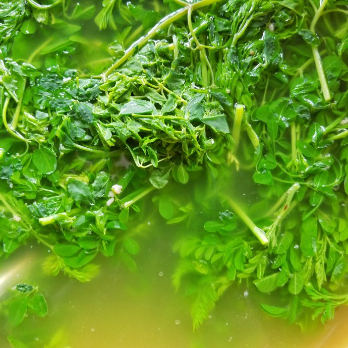 带着老婆去山上旅游,秘境之地在临沧