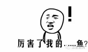 真相如此残酷！通过这种小动物按摩治脚气？谨慎患上皮肤病！