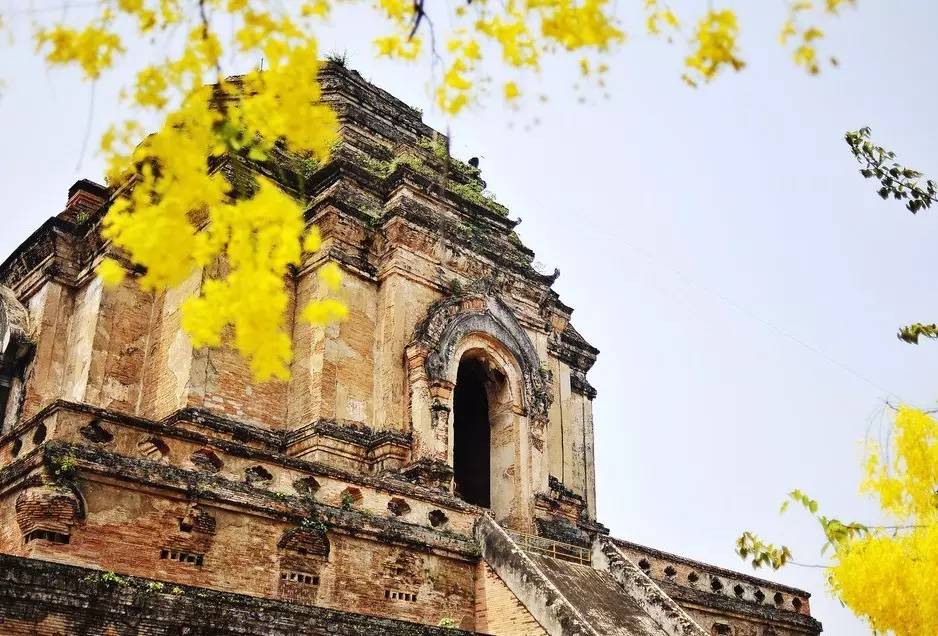 免签证出国需要什么手续,免签和落地签国家旅游推荐